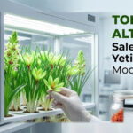 Toprak Olmadan Altın Hasat